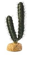 Algopix Similar Product 5 - Exo Terra Finger Cactus Terrarium Plant
