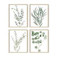 Algopix Similar Product 18 - HAUS AND HUES Botanical Plant Wall Art