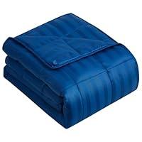 Algopix Similar Product 2 - Wellfeel Weighted BlanketUltra Soft