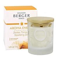 Algopix Similar Product 20 - MAISON BERGER Aroma Energy Sparkling