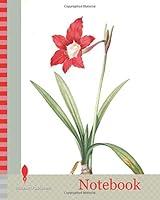 Algopix Similar Product 5 - Notebook Amaryllis equestris