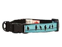 Algopix Similar Product 19 - RC Pet Products Kitty Clip Collar