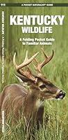 Algopix Similar Product 2 - Kentucky Wildlife A Folding Pocket