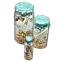 Algopix Similar Product 11 - Handcrafted Money Spell Jar Made with