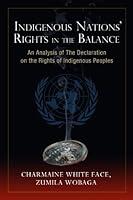 Algopix Similar Product 13 - Indigenous Nations Rights in the
