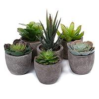 Algopix Similar Product 15 - T4U Artificial Succulent Plants Potted