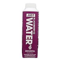 Algopix Similar Product 14 - JUST WATER Organic Blackberry Water