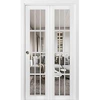 Algopix Similar Product 1 - Sliding Closet Bifold Doors 2  42 x