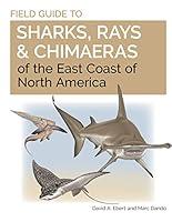 Algopix Similar Product 13 - Field Guide to Sharks Rays and