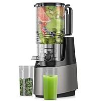 Algopix Similar Product 9 - Cold Press Juicer Machines 350W