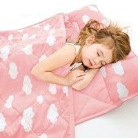 Algopix Similar Product 20 - Toddler Nap Mat with Removable Pillow