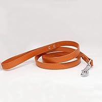 Algopix Similar Product 5 - Apricot Orange dog Leash Pet