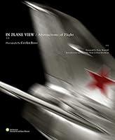 Algopix Similar Product 16 - In Plane View: Abstractions of Flight
