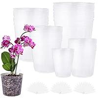 Algopix Similar Product 18 - Elcoho 60 Packs Clear Nursery Pots for