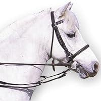 Algopix Similar Product 19 - William Hunter Equestrian Padded