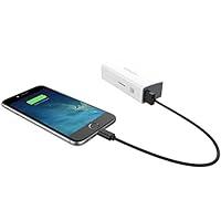 Algopix Similar Product 6 - myCharge AMP30W myCharge AMPPRONG