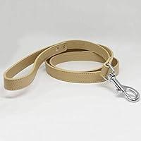 Algopix Similar Product 8 - Champagne dog Leash Pet accessory
