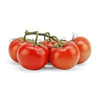 Algopix Similar Product 3 - Organic Tomato On The Vine Sourced For