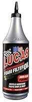 Algopix Similar Product 3 - Lucas Oil 10798 High Performance Foam