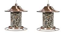 Algopix Similar Product 19 - PerkyPet Copper Panorama Bird Feeder