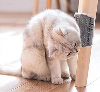 Steamy Cat Brush - 3 In1 Cat Steamy Brush, Self Cleaning Steam Cat Brush,  Cat Steamer Brush for Massage, Cat Hair Brush for Removing Tangled and