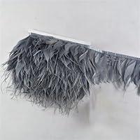 Algopix Similar Product 2 - 10 Meters Colored Ostrich Feathers On