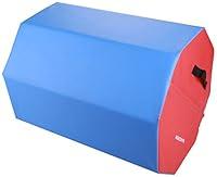 Algopix Similar Product 16 - BalanceFrom GoGym Octagon Tumbler Skill