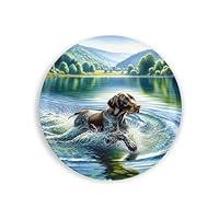 Algopix Similar Product 2 - German Shorthaired Pointer Swimming in