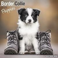 Algopix Similar Product 11 - Border Collie Puppies Calendar 2025 