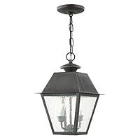 Algopix Similar Product 13 - Livex Lighting 216761 Mansfield