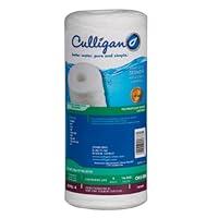 Algopix Similar Product 1 - Culligan CW5BBS Water Filter