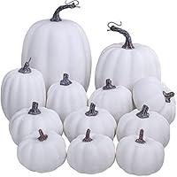 Algopix Similar Product 6 - Artificial White Pumpkins Bulk Faux