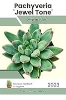 Algopix Similar Product 20 - Pachyveria Jewel Tone Succulent