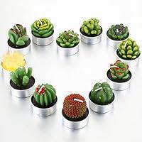 Algopix Similar Product 1 - 12 Pieces Cactus Tealight Candles