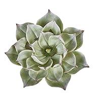 Algopix Similar Product 8 - Benzara Resin Lotus Wall Flower Decor