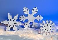 Algopix Similar Product 8 - Standing Frozen Winter Snowflake