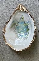 Algopix Similar Product 5 - Oyster Shell (Turtle)