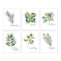 Algopix Similar Product 9 - Kitchen Herbs Art Prints  Botanical