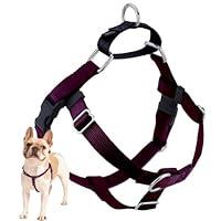 Algopix Similar Product 13 - 2 Hounds Design Freedom No Pull Dog