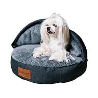 Algopix Similar Product 16 - SILVERLINE PeekaBoo Comfy Cave Pet