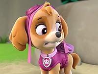 Algopix Similar Product 18 - Pups and the Pirate Treasure
