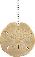 Algopix Similar Product 19 - Beach sea Shell Sand Dollar Ceiling Fan