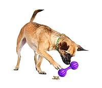 Algopix Similar Product 13 - PetSafe Busy Buddy Waggle Dog Toy