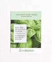 Algopix Similar Product 18 - Shop Succulents Genovese Basil Seeds