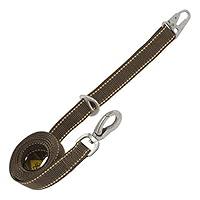 Algopix Similar Product 6 - Browning Classic Dog Leash Teak 4ft x