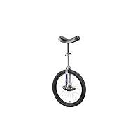 Algopix Similar Product 12 - Sun 18 Inch Classic ChromeBlack