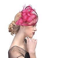 Algopix Similar Product 8 - eiYu Crafts Penny Mesh Hat Fascinator