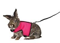 Algopix Similar Product 20 - TRIXIE Small Animal Harness with Bungee