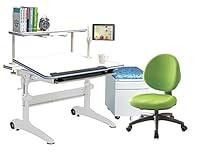 Algopix Similar Product 19 - Posturedesks Jayden crank adjustable