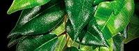 Algopix Similar Product 4 - Exo Terra Silk Terrarium Plant Small
